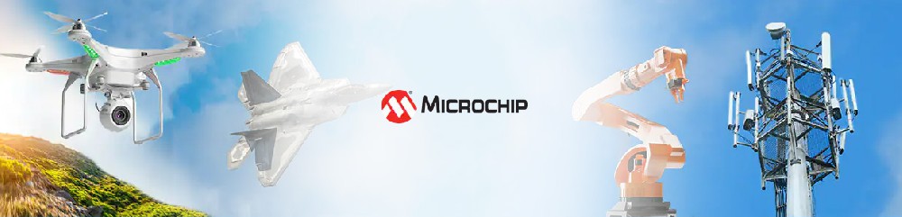 Microchip